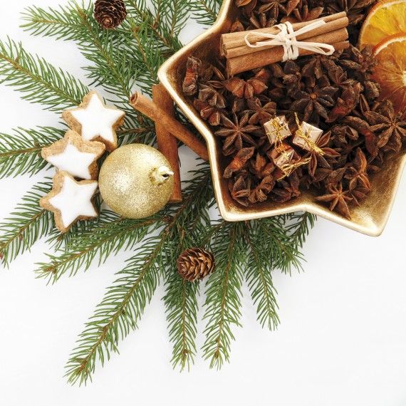 star-anise-cinnamon-sticks-and-holiday-decorations-on-evergreen-branches