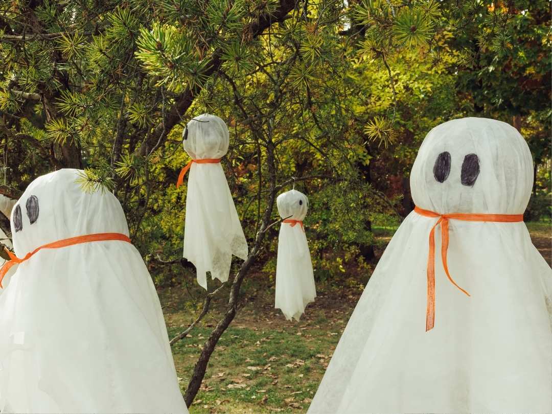 handmade-white-sheet-ghosts-with-orange-ribbons-and-black-eyes-hanging-from-tree-branches-outdoors