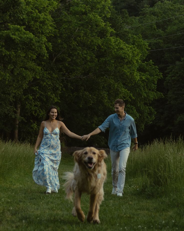 golden-retriever-dog-running-toward-camera-with-couple-walking-in-background