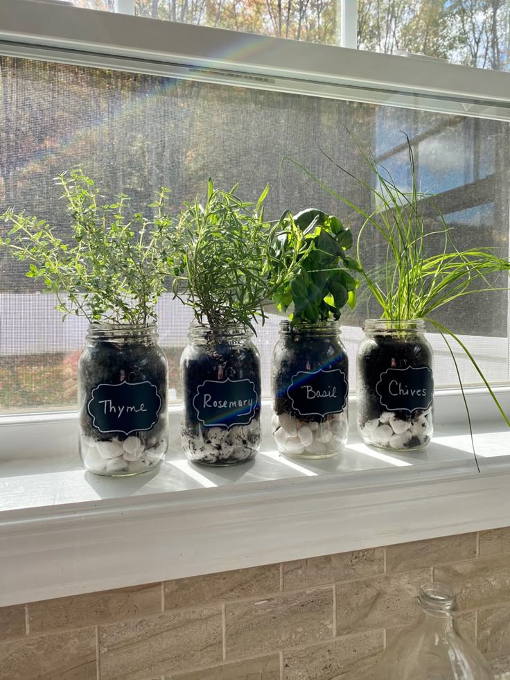 four-jar-planters-with-blackboard-labels-holding-thyme-rosemary-basil-and-chives-on-a-windowsill