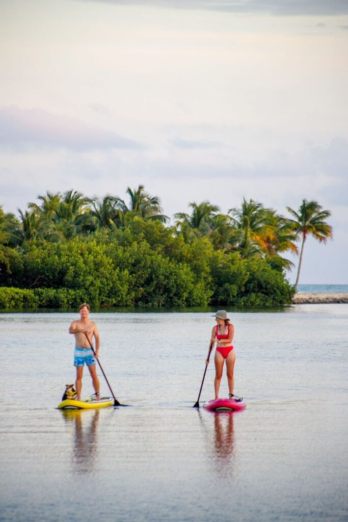 couples-stand-up-paddleboarding-adventure-on-calm-tropical-water-with-palm-trees