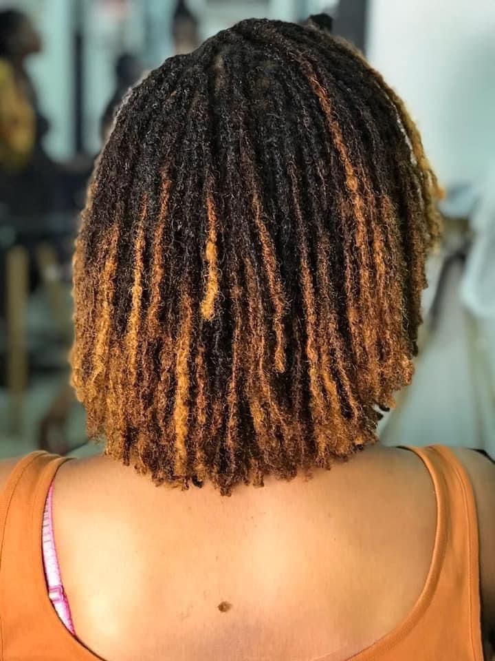 back-view-of-shoulder-length-locs-with-honey-blonde-and-copper-dyed-ends